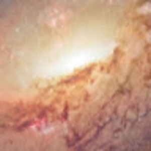 Meet your Posher, Sophia